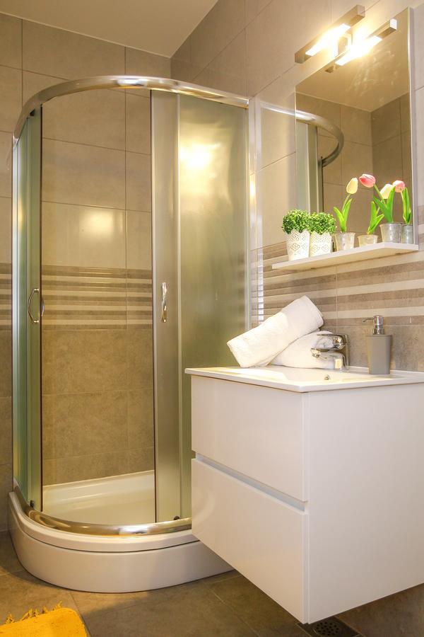 Privilege Pool Apartment Novalja